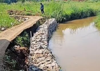 Pemkab Bogor Tanggap Darurat, Bangun Bronjong di Kampung Pulo Pasca Jalan Tergerus