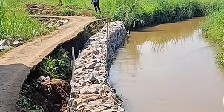 Pemkab Bogor Tanggap Darurat, Bangun Bronjong di Kampung Pulo Pasca Jalan Tergerus