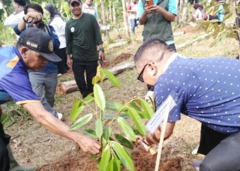 Disdik Tanam Ratusan Pohon di Tanjungsari, Dukung Hutan Kota