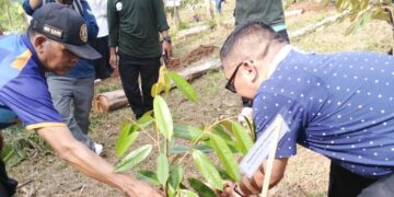 Disdik Tanam Ratusan Pohon di Tanjungsari, Dukung Hutan Kota