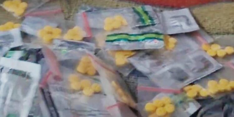 Polsek Citeureup Ringkus Terduga Pengedar Obat Terlarang di Desa Sanja