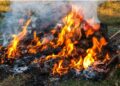 Ingat, Bakar Sampah Sembarangan Picu Jantung dan Cancer