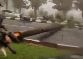 ‎Pohon Tumbang Timpa Pengendara Motor di Tegar Beriman