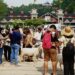 ‎Long Weekend: Dairyland Farm Theme Park Puncak Diserbu Ribuan Wisatawan‎