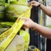 ‎Pertamina “PHU” Pangkalan LPG yang Mendukung Praktik Ilegal di Bogor‎