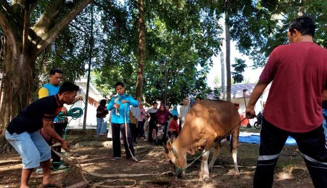 ‎Kemensos Salurkan 295 Hewan Kurban ke Berbagai Daerah pada Iduladha 1447 H