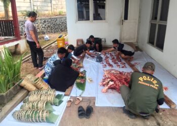 Kecamatan Cileungsi Salurkan Kurban dari Pihak Ketiga‎