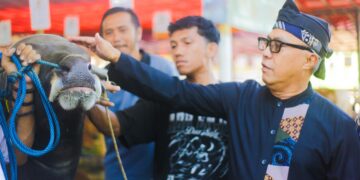 Denny Mulyadi Sidak Lapak Kurban, Pastikan Sapi dan Kambing Bebas Penyakit