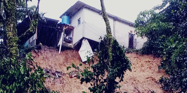 Longsor Terjang Sukamakmur, 7 Rumah Rusak dan Warga Mengungsi