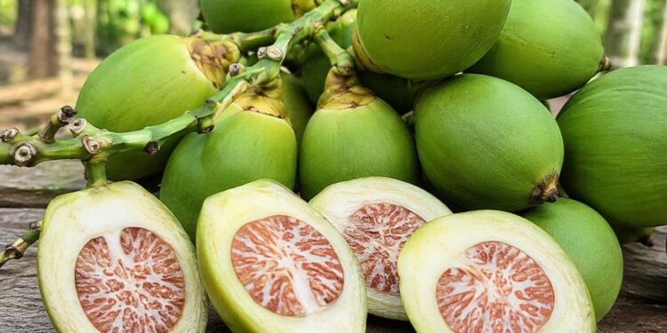Pinang Muda Disebut Bermanfaat untuk Vitalitas Pria, Ini Penjelasannya