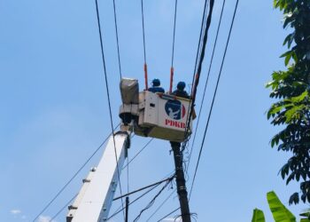 Tingkatkan Keandalan Listrik, Tim Khusus PDKB PLN Gunung Putri Lakukan Pemeliharaan Jaringan Tegangan Menengah di ULP Jonggol