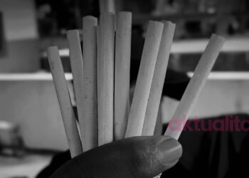 ‎Angka Perokok Remaja Meningkat, Pemkot Bogor Perkuat Komitmen Kawasan Tanpa Rokok di Sekolah‎