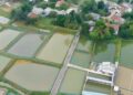 Bupati Bogor Dorong Kemajuan Perikanan Ciseeng