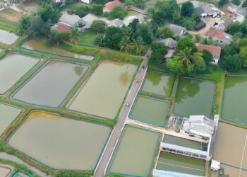 Bupati Bogor Dorong Kemajuan Perikanan Ciseeng