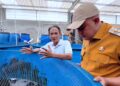 Yamagen Koi Farm Jadi Percontohan Budidaya