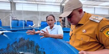 Yamagen Koi Farm Jadi Percontohan Budidaya