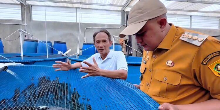 Yamagen Koi Farm Jadi Percontohan Budidaya