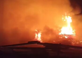 Terjebak Dikandang, 18 Ribu Ayam Hangus Terpanggang Akibat Kebakaran