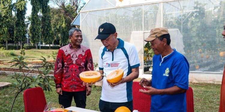 Kemensos Makmurkan Sentra Lewat Pertanian