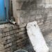 ‎Buang Air Limbah Seenaknya, Warga Keluhkan Bau Menyengat dari SPPG di Cileungsi