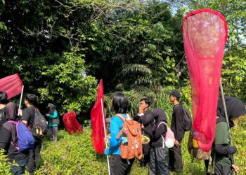 ‎45 Generasi Muda Melalui Forest Youthverse Bio-Discovery Telusuri Data Deficient Keanekaragaman Hayati di Hutan Penelitian Dramaga