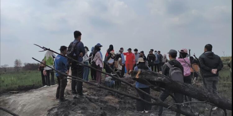 ‎Generasi Muda Sumsel Bicara Kebakaran Hutan dan Lahan: Peduli Saja Tak Cukup, Saatnya Bergerak