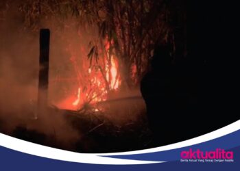 Berawal dari Bakar Sampah, Kebun di Jonggol Bogor Terbakar