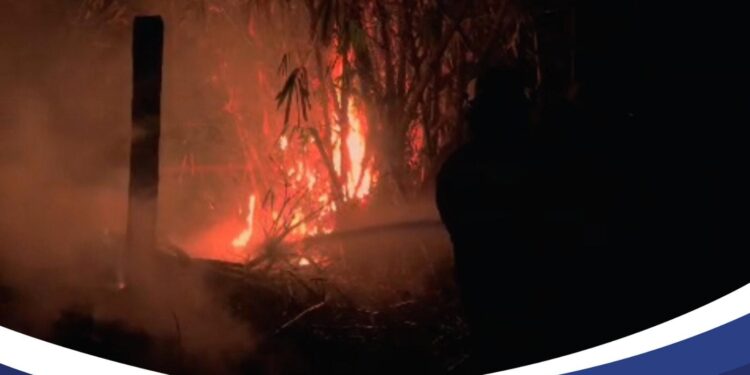 Berawal dari Bakar Sampah, Kebun di Jonggol Bogor Terbakar