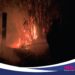Berawal dari Bakar Sampah, Kebun di Jonggol Bogor Terbakar